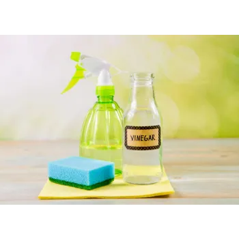  Disinfectant Sprayers